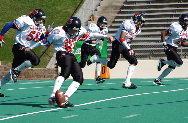 专注于团队 专注于团队