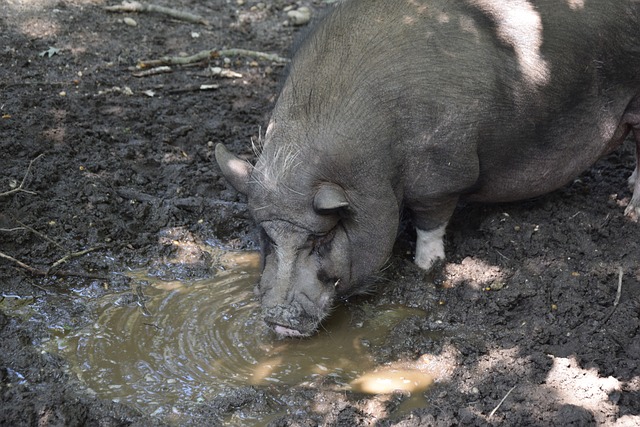 短道速滑训 短道速滑训