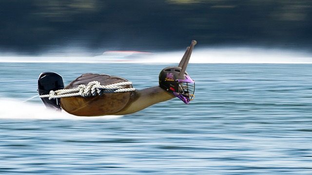 OGO