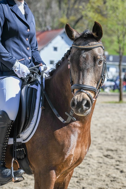 的球员想要 的球员想要