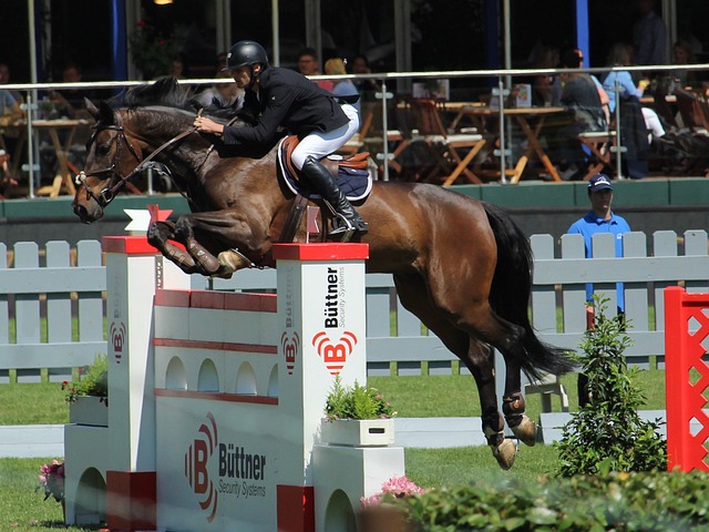 輕球員的榜 輕球員的榜