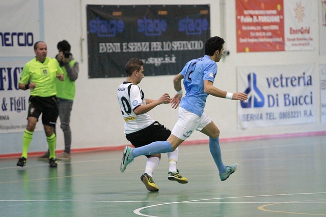 国王可能有 国王可能有